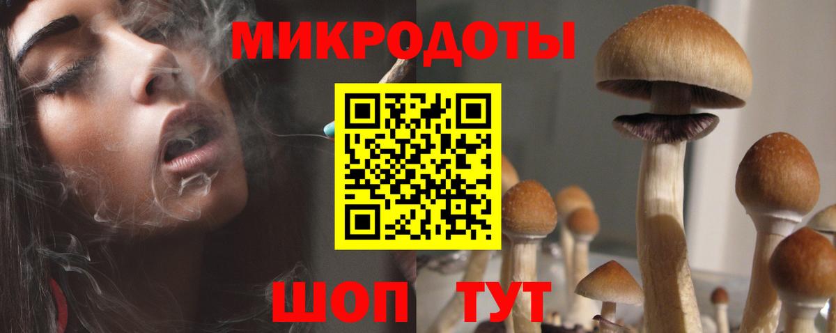 Горячий Ключ  что такое   Псилоцибиновые грибы GOLDEN TEACHER  Вход с VPN  Галлюциногенные грибы GOLDEN TEACHER 